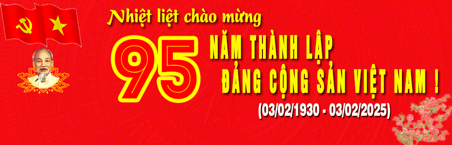 95-nam-TL-DCS-VN-1.gif