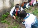 hs2 - 