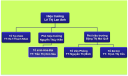 Picture1.png - 